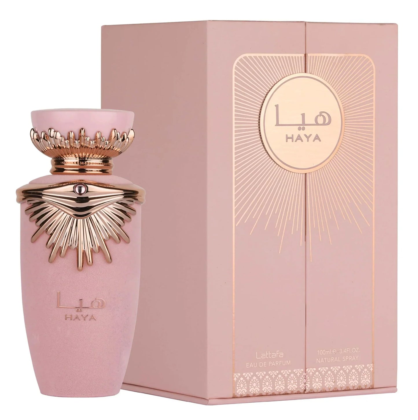 Haya edp